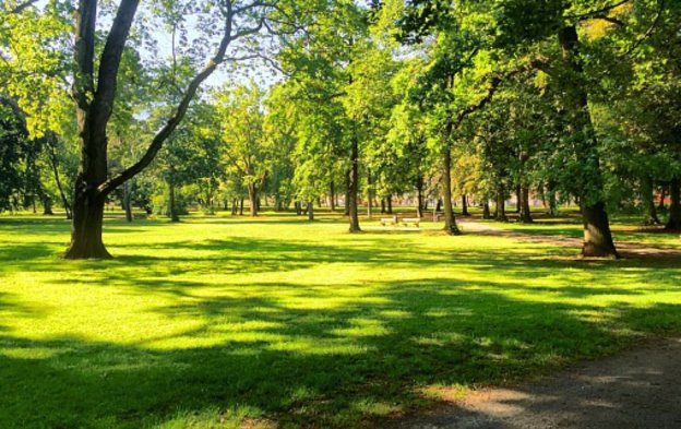 В Павлограде будут обрабатывать парки от клещей. Стали известны даты |  Независимый портал Павлоград.dp.ua